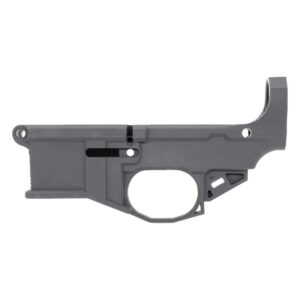 Firearms Guide: Choosing the Right Gun